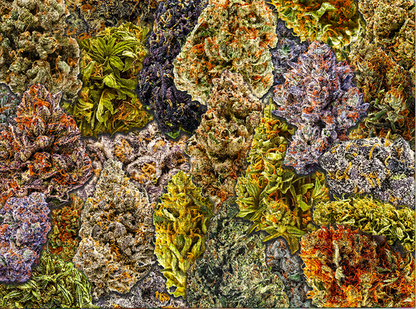 Digital - Collection De Chronic Jigsaw Puzzle WTF Puzzles